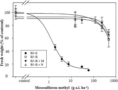 The Pro-197-Thr mutation in the ALS gene confers novel resistance patterns to ALS-inhibiting herbicides in Bromus japonicus in China